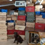 Boxes in all sizes, finishes, and stencils (or without). Dog not included.